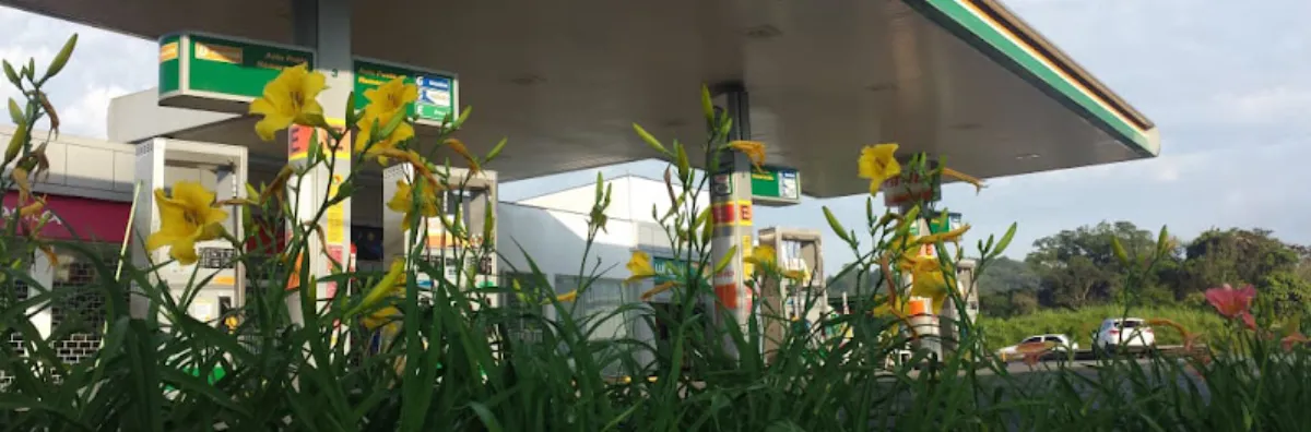 Fachada de Auto Posto Hemerocallis